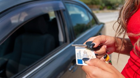 cambio de licencia en carolina del norte