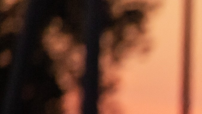 cambiar licencia a carolina del norte