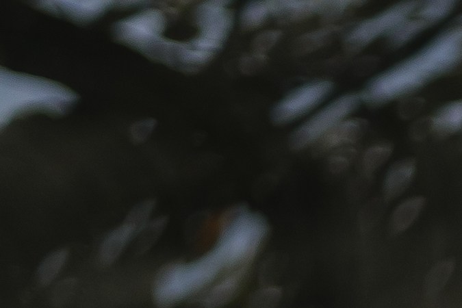 ofertas engañosas de seguro