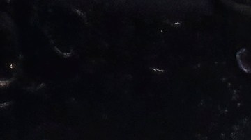 devolver placas de auto en florida