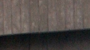 escapar de un oficial de tránsito