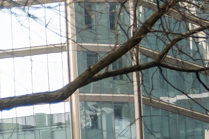 obtener licencia de conducir en new york