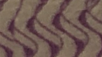 estatus licencia de conducir en new york