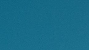 exención de licencia de conducir en florida