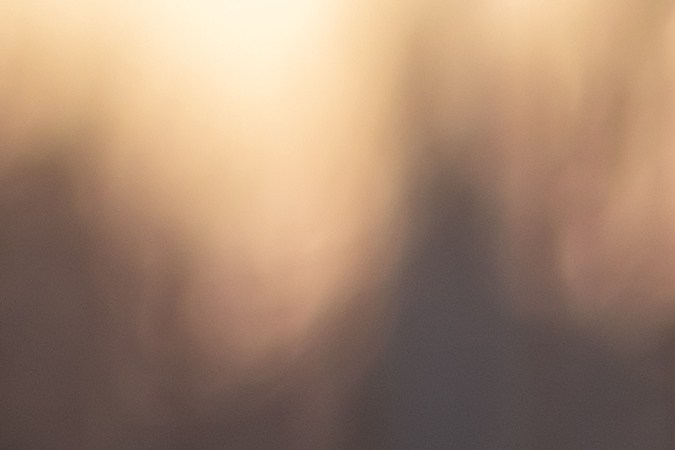 curso de mejora del conductor obligatorio