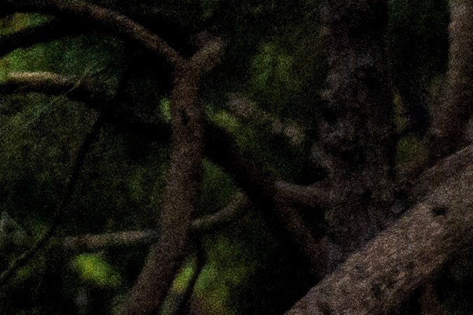 La Fórmula E es el presente y futuro de los eventos a motor