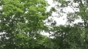 La Genesis GV70 2026 es el modelo más vendido de la marca en EE. UU.