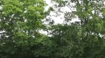 La Genesis GV70 2026 es el modelo más vendido de la marca en EE. UU.