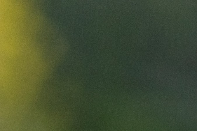 Hoy en día, el GPS está instalado en muchos autos.