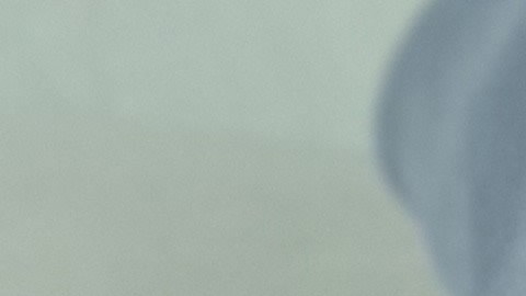 hacer trampa examen de manejo