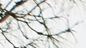 Autos vetados en México: Modelos de lujo no registrables