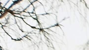 Autos vetados en México: Modelos de lujo no registrables