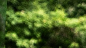 Jeep Cherokee 2026 tendrá nuevas características de movilidad.