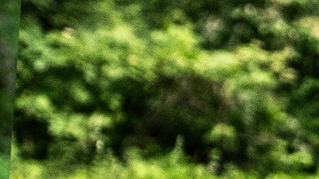 Jeep Cherokee 2026 tendrá nuevas características de movilidad.