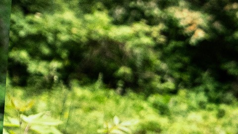 Jeep Cherokee 2026 tendrá nuevas características de movilidad.