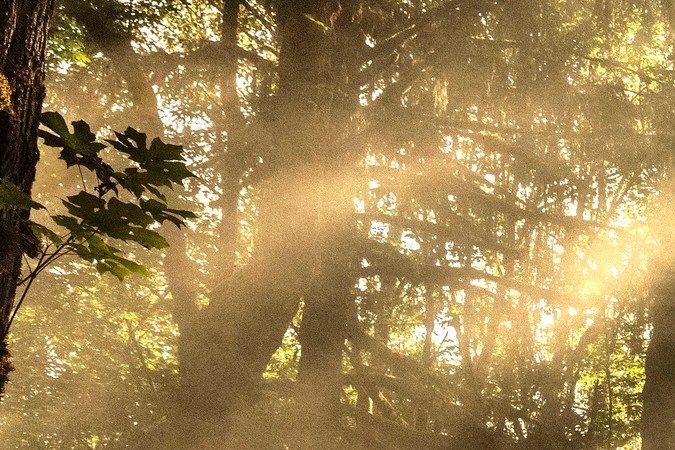 Jeep Cherokee 2026 llegará con nuevo sistema de propulsión.