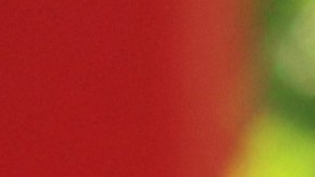 Los productos para lavar el auto no deben rayar el auto.