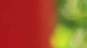 Los productos para lavar el auto no deben rayar el auto.