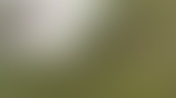 ley de consentimiento implícito para conductores