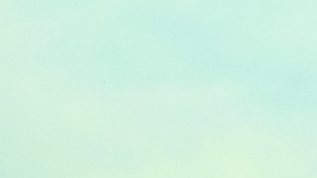 por qué no puedo cruzar la frontera con una licencia