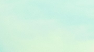 por qué no puedo cruzar la frontera con una licencia