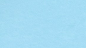 licencia que permite tomar vuelos nacionales en usa