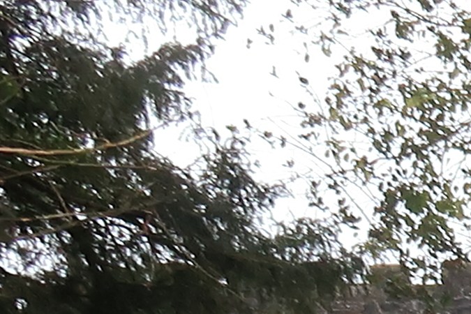 El Mazda 3 destaca por sus sistemas de seguridad.