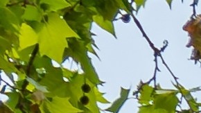 Michelin es una de las grandes marcas de neumáticos.