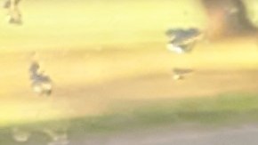 En Estados Unidos, el promedio de recorrido de los autos es alto al año.