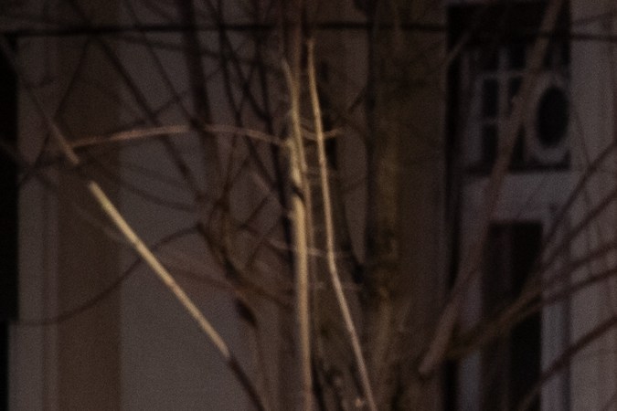 placa de matrícula oculta