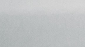 polarizado en nevada