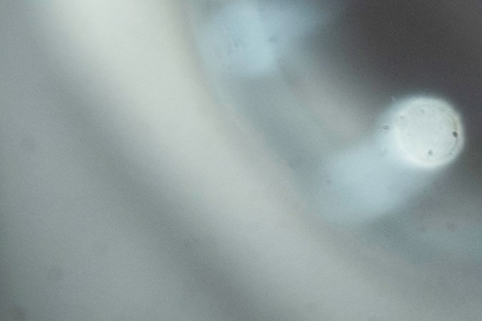 Los rastreadores GPS son indispensables en flotas de vehículos.