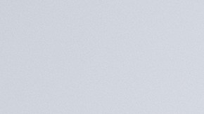 licencia de conducir florida