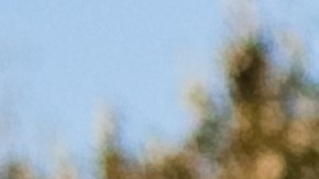 Volkswagen fabrica algunos autos para Estados Unidos en México.