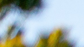 Waymo busca fortalecer su presencia en el mercado de vehículos autónomos.