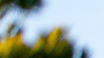 Waymo busca fortalecer su presencia en el mercado de vehículos autónomos.