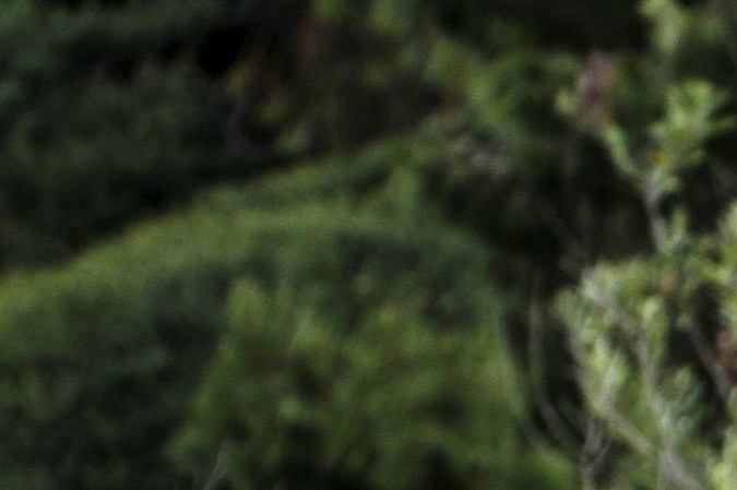 Los autos más económicos para trabajar en EE.UU. (según expertos)