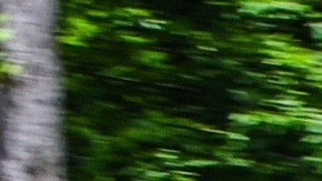 El Corvette volador: las imágenes que se hicieron virales