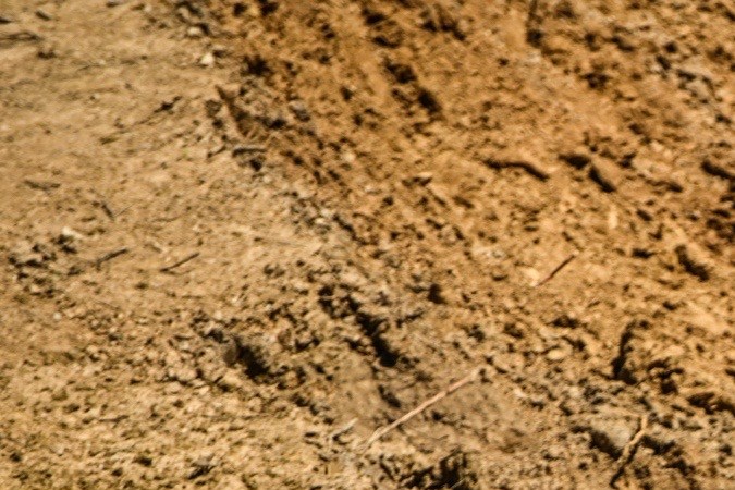 Video viral: Chevrolet Corvette Stingray en un salto épico.