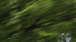 Ford Mustang 2026 body FX estrena el color azul adriática.