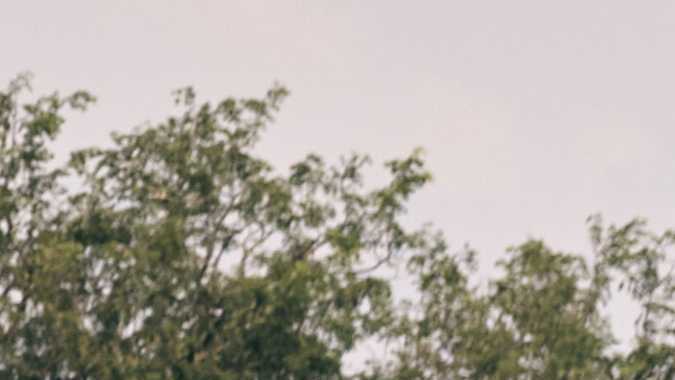 Land Rover Defender Trophy Edition 2026 será protagonista de una competición en pro de la conservación natural.