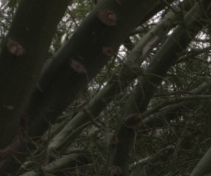 Problemas de seguridad en Mazda MX-5: detalles del retiro.