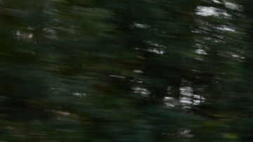 Nissan Leaf 2026 llega para una tercera generación.