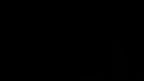 Porsche Cars Canada dona ganancias de subasta a Campfire Circle.