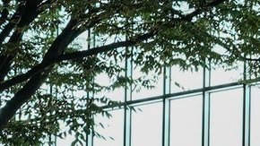 Vehículos eléctricos y aranceles: el desafío de EE.UU. en Japón.