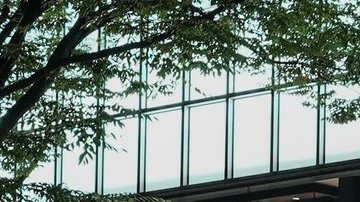 Vehículos eléctricos y aranceles: el desafío de EE.UU. en Japón.