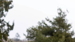 Volkswagen Golf GTI Edition 50 tiene detalles que mejoran su conducción.