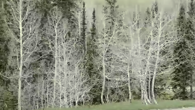 Audi Q5 2025 tiene una gran potencia de 268 caballos de fuerza.