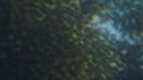 Los autos eléctricos siguen fortaleciéndose en potencia y autonomía.