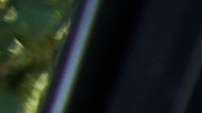 conductores discapacitados en usa